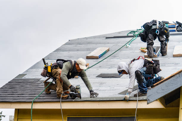 Professional Gutter Installation technician working in Logan, AL